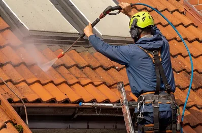 Démoussage et hydrofuge de toiture à Larnage